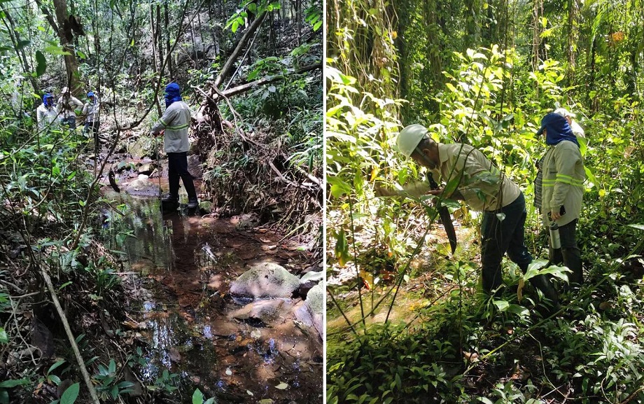 Monitoramento de microbacias da Bracell atesta os impactos da gestão sustentável de águas e florestas